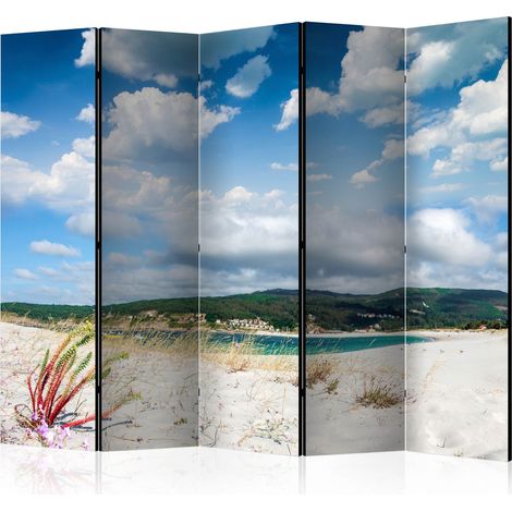 Paravento - Beach on the Costa da Morte II [Room Dividers] - 225x172 (1/4)