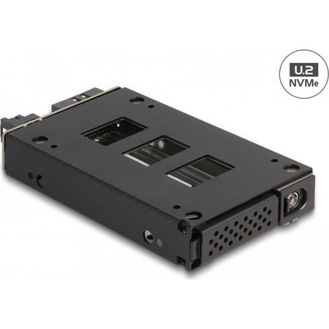 Delock Estante mÃ³vil de bahÃ­a delgada para 1 x SSD U.2 NVMe de 2.5