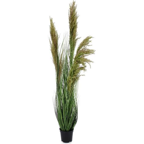 Pianta artificiale "Carine Pampas" verde e marrone, fiore in ciuffi con vaso in plastica -Ø50x96h cm (1/3)