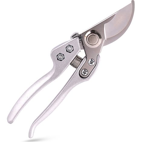 Filiyano-Sécateur à lames croisées, sécateur professionnel affûté, cisaille à jardin, tondeuse à gazon - Argent (1/5)