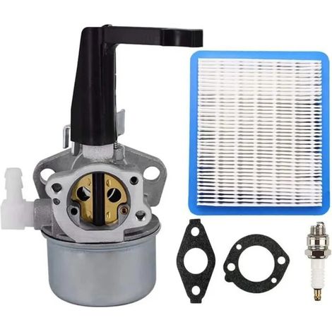 Carburateur 696065 pour moteur horizontal Briggs & Stratton 5-6 CV, avec filtre et bougie d'allumage (1/5)
