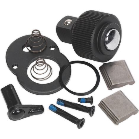 Sealey AK667214.RK Premier Repair Kit for AK6672.01 1/4"Sq Drive