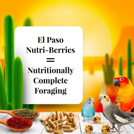 Lafeber Nutri-Berries El Paso Cockatiel - Grano con gránulos en forma de bola para loros pequeños y medianos 284 g (1/5)