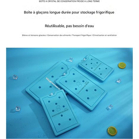 Plaques Glacées Réutilisables 600ml & 800ml, Lot de 4, Refroidissement Efficace, Conservation Fraîcheur, Idéales pour Ventilateurs Glacés, Sacs Isothermes et Usage Domestique (1/5)
