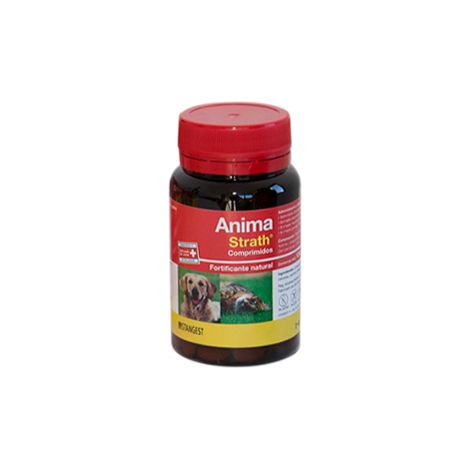 Stangest Anima Strath 120CPD