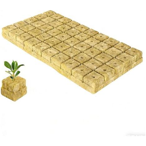 50 Pièces Cube de Laine de Roche,Laine De Roche Cubes,Laine De Roche Blocs,Rockwool Grow Cubes pour Culture Compresse Soilless Plantation Boutures Clonage Propagation Plantes (1/5)