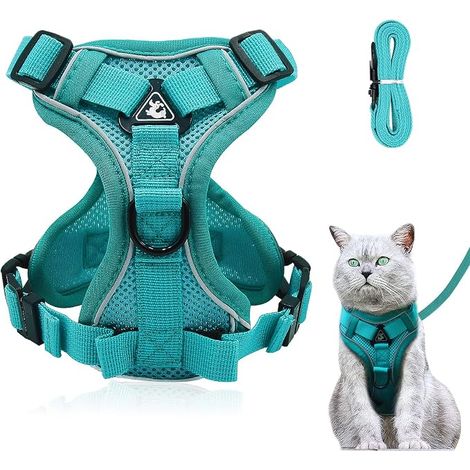 Harnais réglable anti-évasion pour chat avec laisse - Harnais souple pour chat - bleu L (1/5)