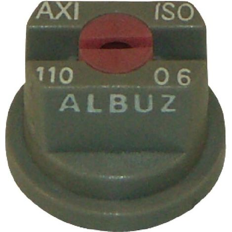 Buse ALBUZ AXI11006