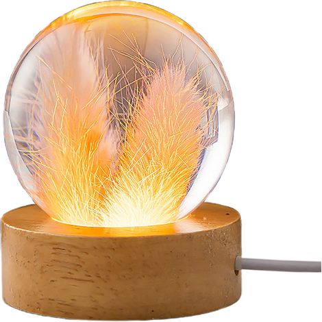 【Nachtlampe】 USB-LED-Kristallkugel, Holzsockel, konservierte rote Löwenzahnblüte (6 cm), Weihnachts- und Geburtstagsgeschenk (1/2)