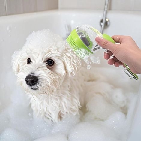 Cepillo de baño para mascotas con dispensador de champú, aseo masaje silicona gatos perros, color verde (ABS + silicona grado alimenticio (1/4)