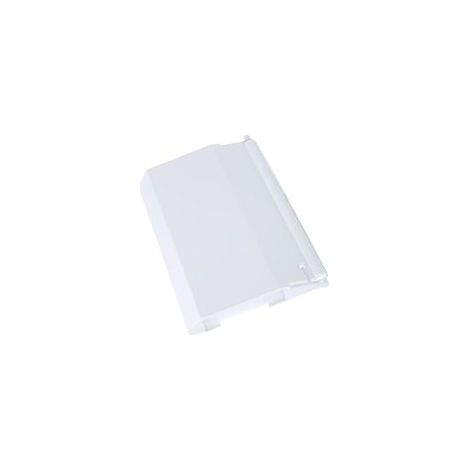 SPX1082K Ersatztür für Poolskimmer für SP1082, SP1085, SP1075T, SP1076, SP1077 (1/5)