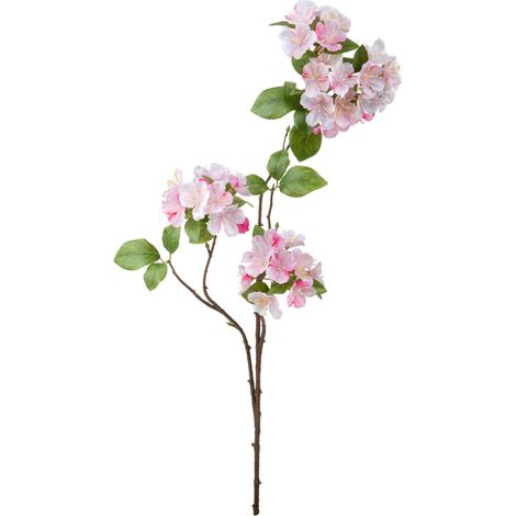 FIORI DI MELO BIANCHI DINO