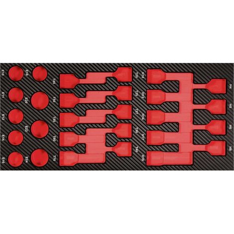 Projahn ProForm Einlage leer für Schlagnüsse TX+Innen-6kt. (1/2)