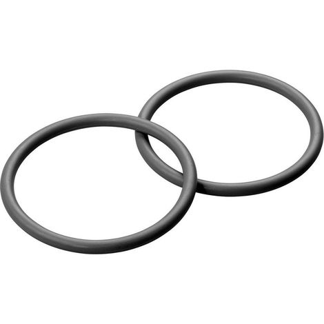 Grünbeck Dichtungset Boxer FS-B für Wasserfilter 1" 2 Stück 101641E (1/2)