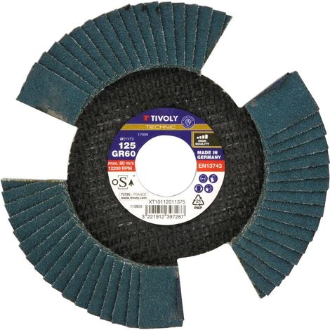 Tivoly • Disque de décapage Lamelle Zirconium Ajouré Spécial Vision Grain 80 Ø125mm Alesage 22,2mm M14 (1/3)