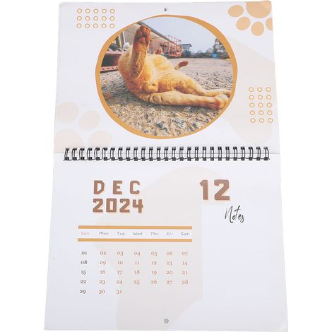 Calendrier de l'Affaire du Chat (12 mois 2024) - Drôle et mignon - Décoration pour chambre ou bureau (1/5)
