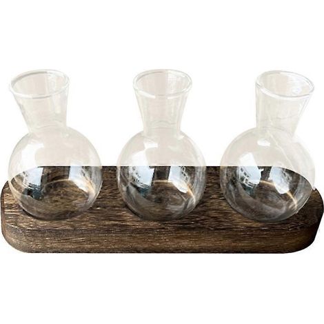 Pot de fleurs transparent en verre, station de multiplication vintage (1/5)