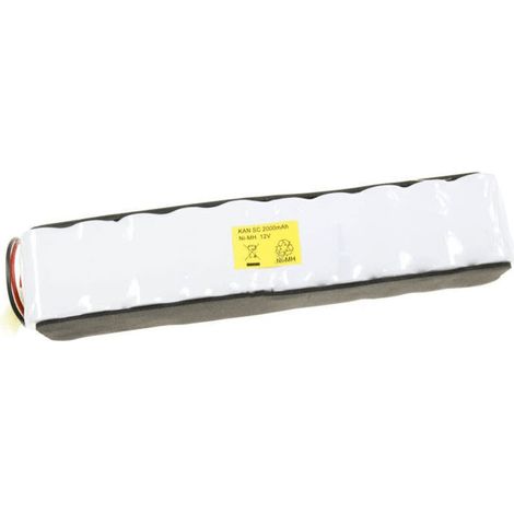 ACCUMULATEUR BATTERIE 12 VOLTS POUR PETIT ELECTROMENAGER ROWENTA - RS-RH5157