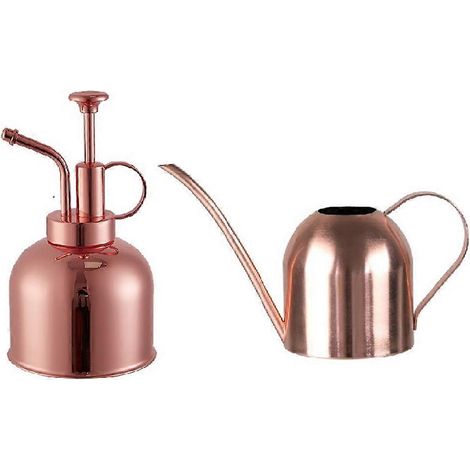 Arrosoir de 300 ml, mini vaporisateur domestique à pression manuelle, bouteille d'eau en acier inoxydable pour (1/5)