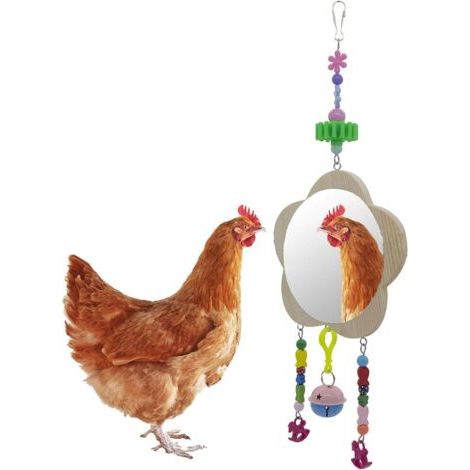 Poulet jouet swing miroir suspendu cloche et molaire poulet jouet oiseau jouet miroir poulet miroir
