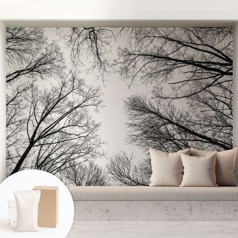 Tapete Vliestapete mit Kleber - trendige Wanddeko - elegant Fototapete für Wohnzimmer - Schlafzimmer Kahle Äste 208x146 cm (1/5)