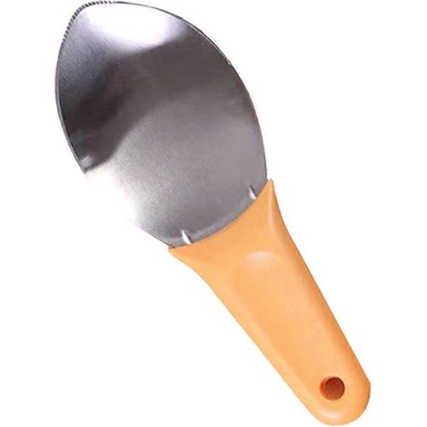 Coupe-Mangues Professionnel, Outil pour Découper et Évider les Mangues, Trancheur et Désosseur de Mangue