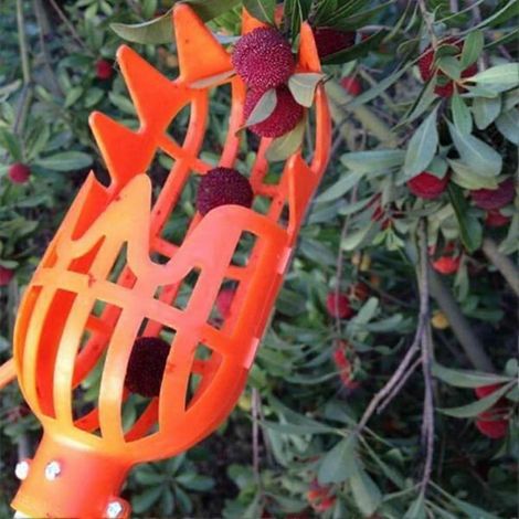 Panier cueille-fruits en plastique, outil de récolte facile et rapide pour pommes, mangues, pêches, kiwis, citrons et cerises. (1/5)