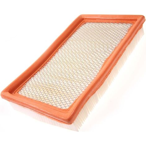 Filtre à air pour moteur Lombardini 2175-105, 2175-132 (1/5)