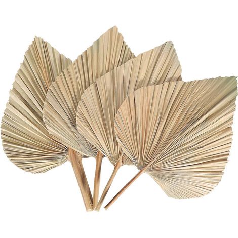 feuilles de palmier séchées, éventails de palmier séchés, style bohème, branches de palmier séchées, plantes artificielles, feuilles de palmier tropicales (1/5)