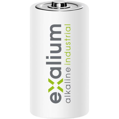 Boite de 12 Piles Alcaline Exalium Industrial LR20