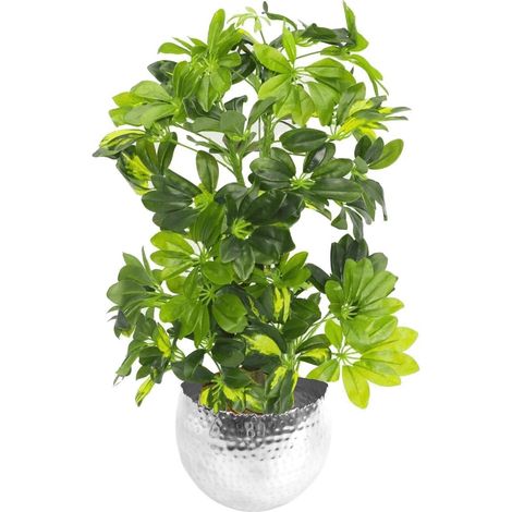 75cm Artificial Arboricola Gold Capella Plant Silver Metal Planter (1/4)