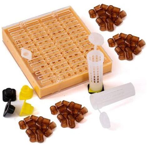 Kit elevage commplet Reines avec système Nicot pour Apiculture Outils d'élevage Reine des Abeilles
