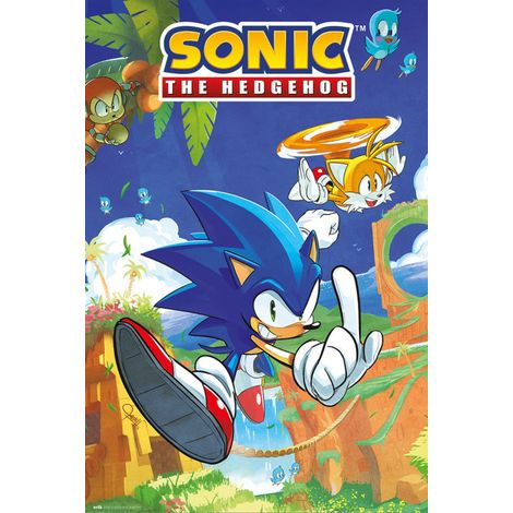 Affiche « Sonic the Hedgehog » du groupe Erik, représentant Sonic et Tails – Affiche décorative Sonic / Affiche de jeu vidéo – Décoration de chambre de gamer, décoration sous licence officielle Sonic