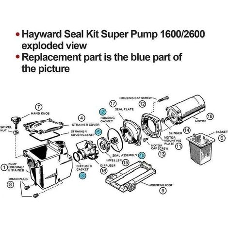 Kit di riparazione guarnizioni per pompa da piscina compatibile con Hayward Super SP2600 1600 2600X - ALTRO (1/3)