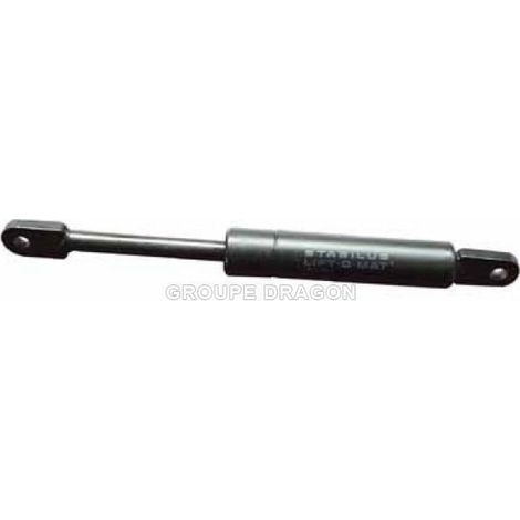 AMORTISSEUR VERIN RAYFLEX pour MICRO ONDES FAGOR