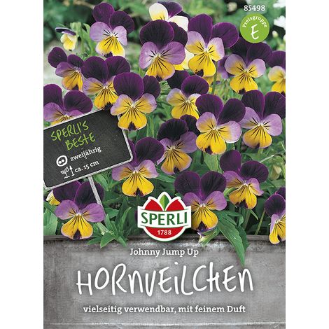 Sperli Hornveilchen Johnny Jump Up - Blumensamen (1/2)