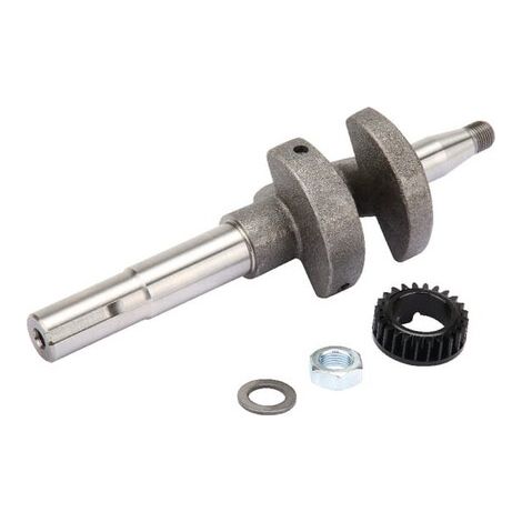 Cig眉e帽al BRIGGS ET STRATTON 793616 (1/2)