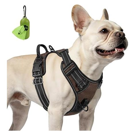 Harnais Petit Chien, Vert, S Coupe ajustée, rembourré, 2 points d'attache, poignée, promenade (1/5)