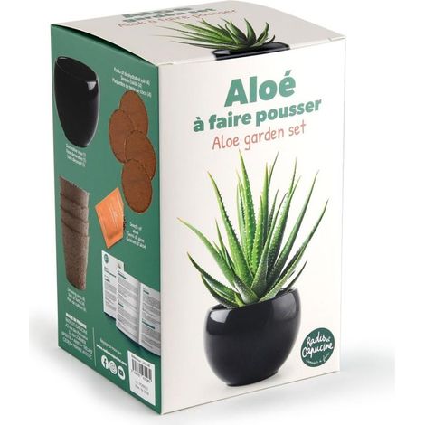 Kit Aloe Vera (1/3)