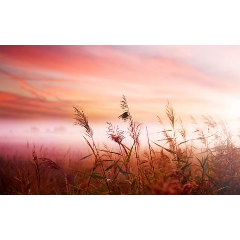 Affiche paysage champ de blér, 60x40cm - made in France (1/5)