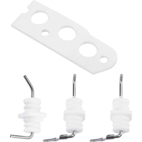 Pièces de rechange pour chauffe-eau instantané à gaz R75 R94 RC80 RC98 : ensemble électrode de flamme (1/5)