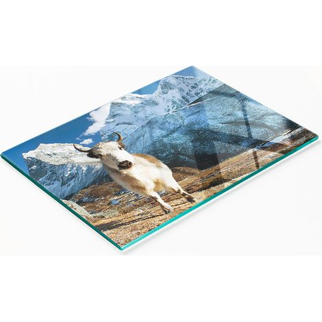 Tabla de servir de cocina de vidrio templado con gráfico de yak de montaña, 80x52 cm (1/5)