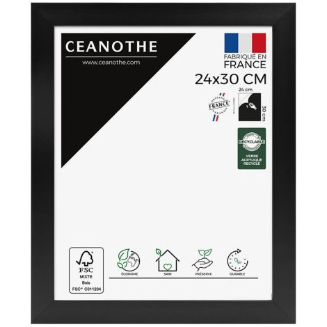 Cadre Ceanothe CADRE 24X30 ETERNEL NOIR (1/5)
