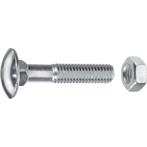 Schlossschrauben M6 x 30 mm, M6, 75 Stück, Edelstahl A2 Schlossschrauben (1/2)