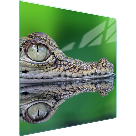 GLASSCHUTZPLATTE FÜR HERD 50x52 KROKODIL
