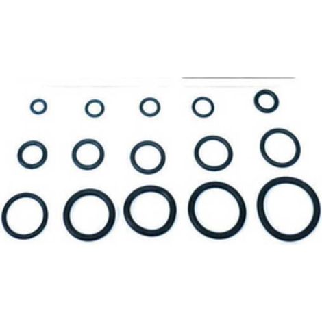 O-RING 15,10X2,70 P/CANNA LAVELLO PZ.100