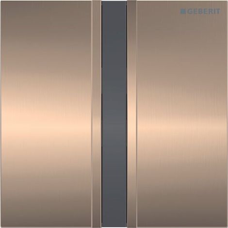 Geberit 241926QB1 Type 50 Plaque de recouvrement pour UR-Strg. IR (1/4)