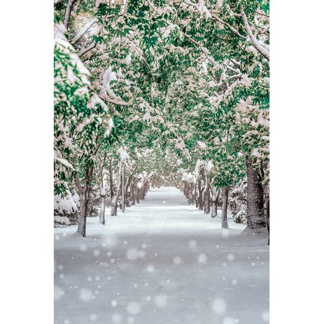 Tableau sur toile chemin enneigé 30x45 cm - Impression sur Toile Murale Décorative - Image imprimée en HD sur Toile - Toile sur Châssis en Bois FSC - Fabriqué en France