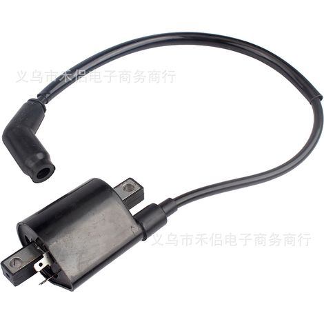 Applicable à la bobine d'allumage haute tension Linhai 260 Gio Bear Daymak Grunt Midwest (1/5)