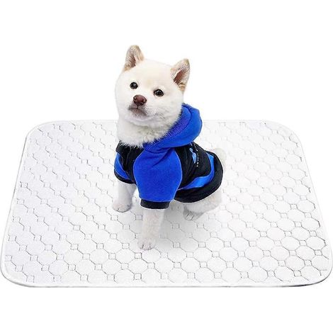 Tapis absorbant pour animaux lavable et réutilisable. Tapis absorbant pour chien, imperméable et blanc argenté. (1/5)